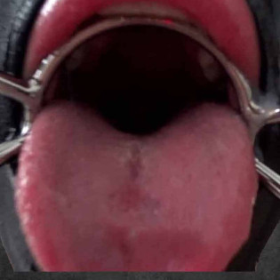 DEEP GAG Max|TOY PLAYER|XLEATHERS|Mundknebel Gag