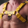 Alpha Pull – Powerful Leather Chest Harness in Yellow|SAXOS.NET LEATHER|XLEATHERS|Harnais BDSM