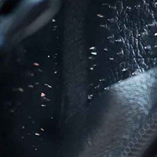 ALPHA X Prick Cage en cuir|Alpha X|XLEATHERS|Peniskäfige