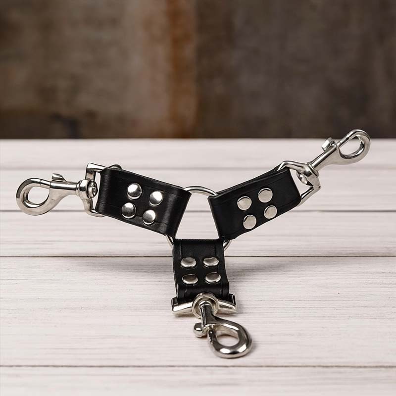 maître triple contrôle 3|TOY PLAYER|XLEATHERS|BDSM Fesseln